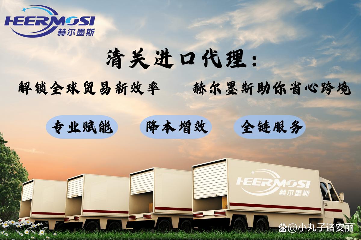 清关进口代理:解锁全球贸易新效率,赫尔墨斯助你省心跨境
